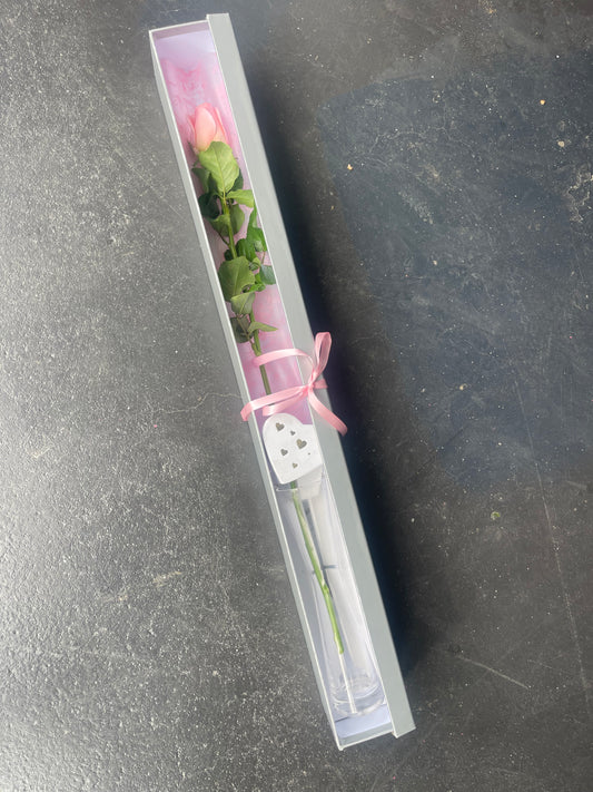 Boxed Single Rose