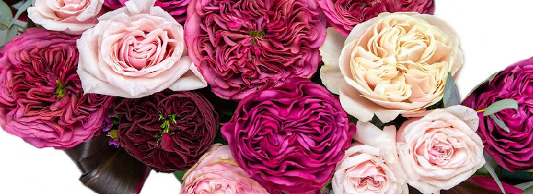 Florist in Keysborough