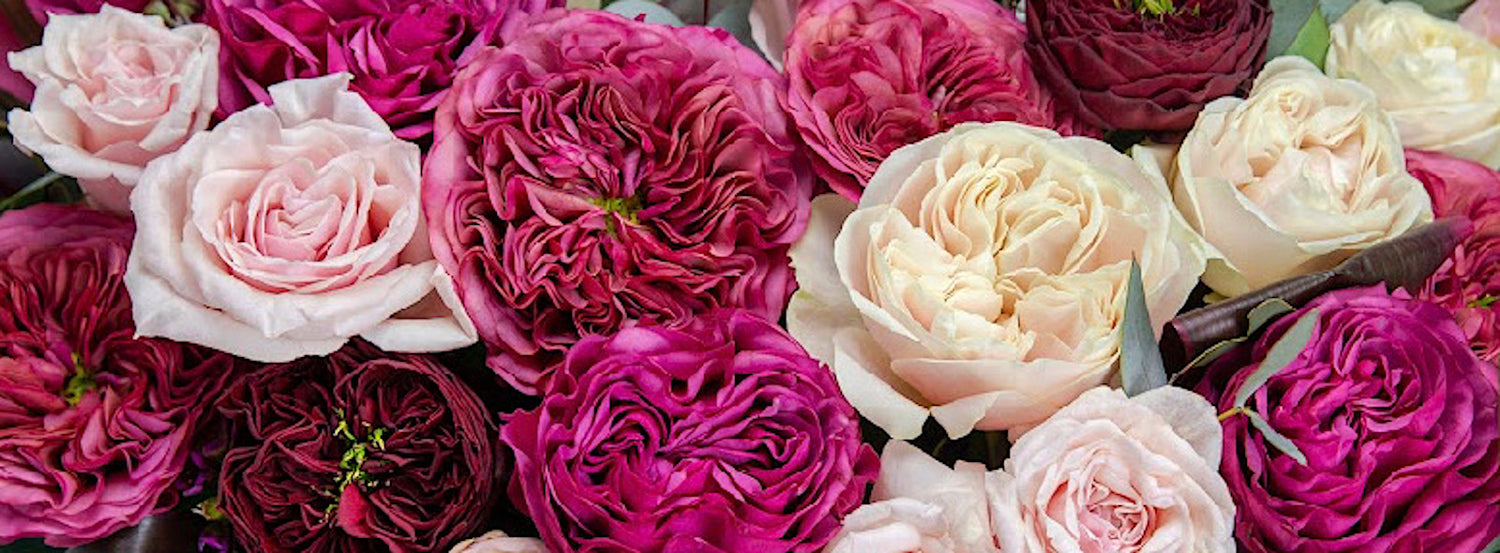 Florist Keysborough Flower Delivery by Blooming Events